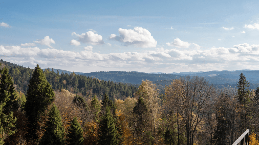 Паркова гора в Криниці