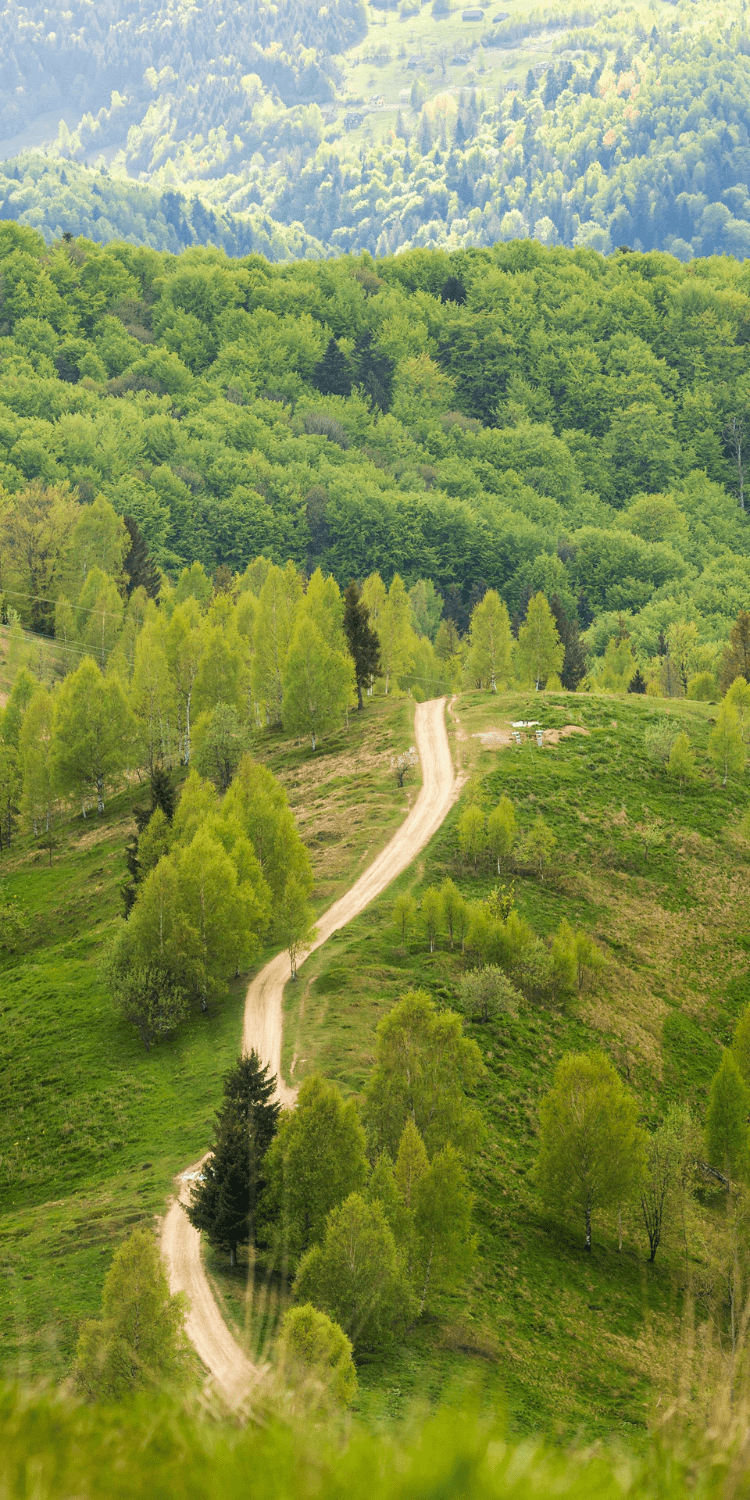 Перемишль